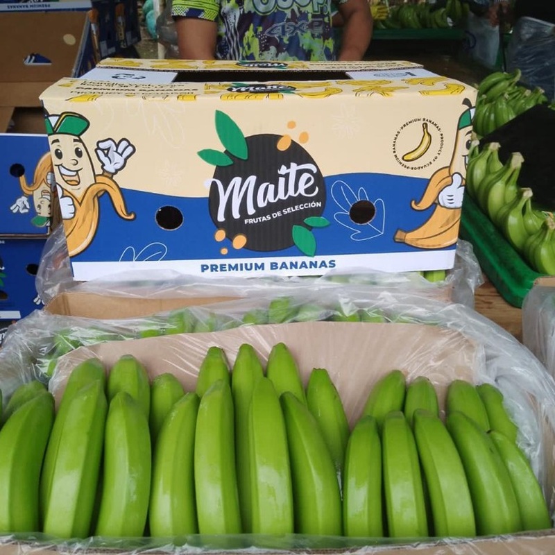Banano Cavendish Premium