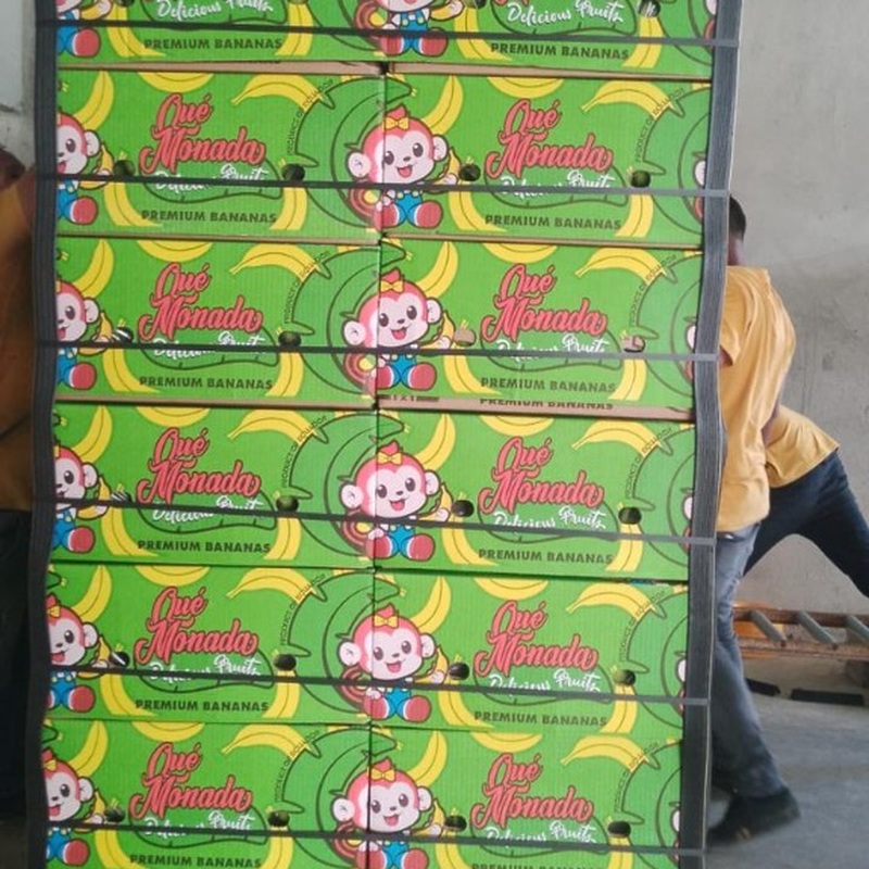 Banano Cavendish Premium