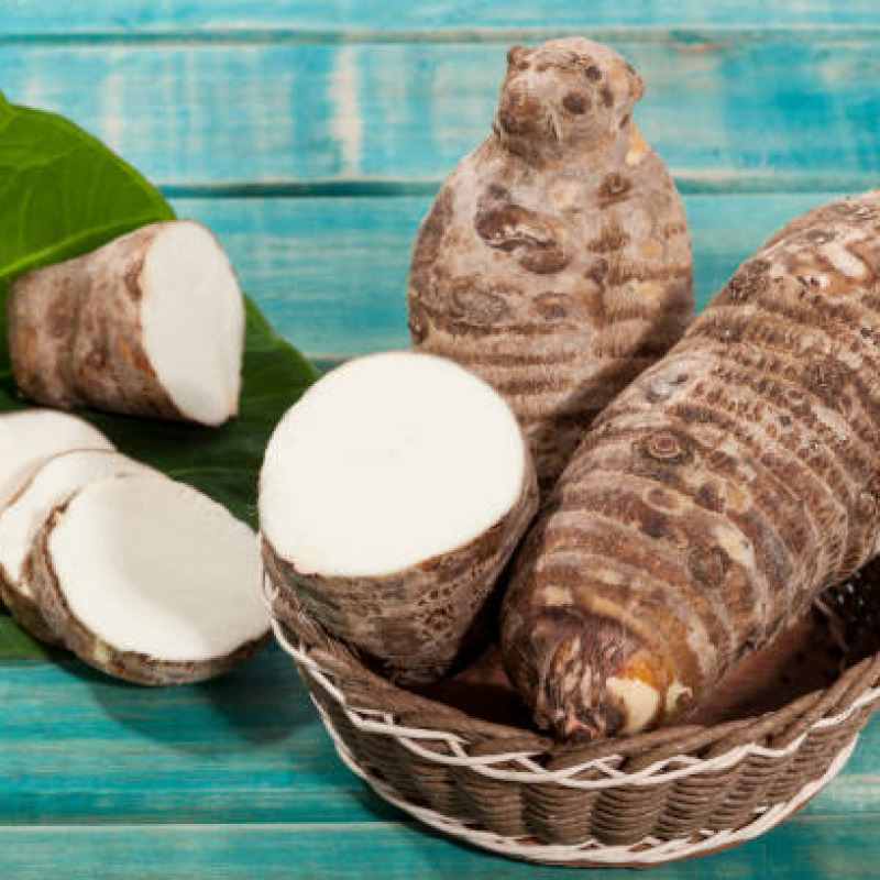 Malanga / Taro (Blanca & Lila)