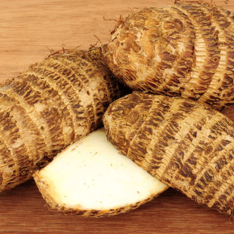 Malanga / Taro (Blanca & Lila)
