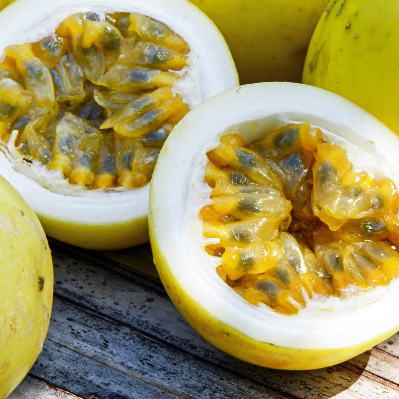 Maracuyá / Passion Fruit