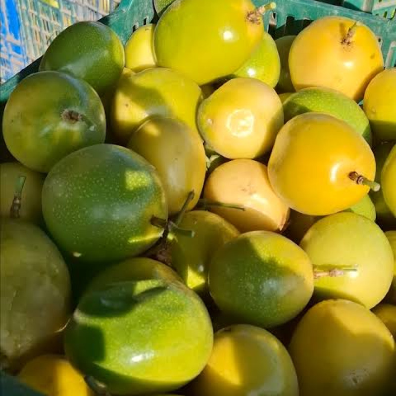 Maracuyá / Passion Fruit