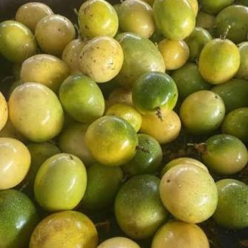 Maracuyá / Passion Fruit