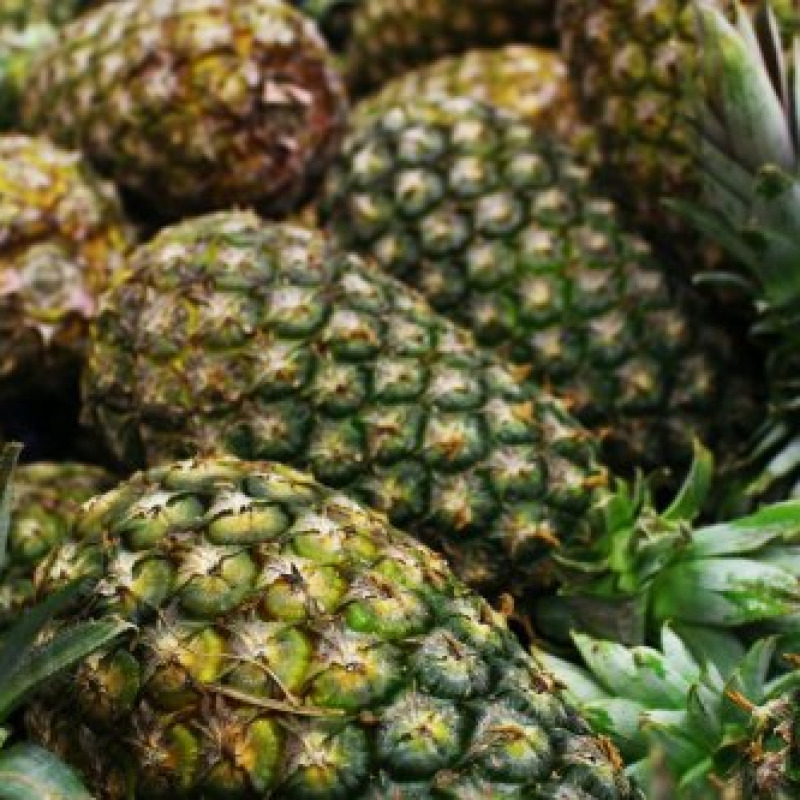 Piña Golden MD2