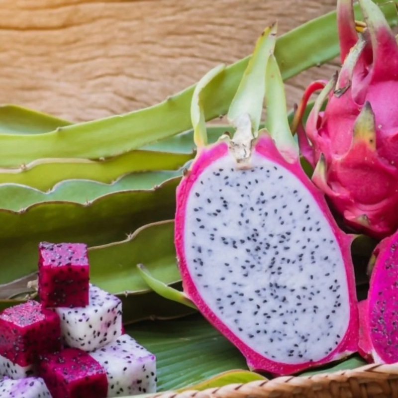 Pitahaya Roja (Red Dragon Fruit)